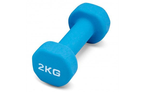 Гантель для аэробики неопреновая 2 кг PRCTZ NEOPRENE DUMBBELL PS7095 600_380