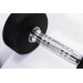 Гантели в уретане 1 кг Live Pro Studio Dumbbells LP8075-01 75_75